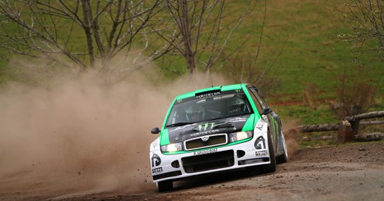 Testy Fiesta Trophy i Fabii WRC